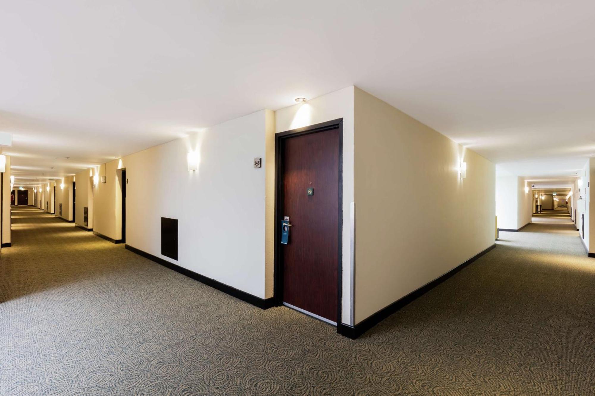 Hotel Hilton Airport 4*
